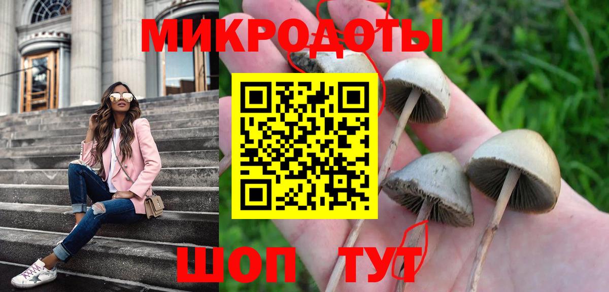 закладка  Галлюциногенные грибы Magic Shrooms  Астрахань  Вход с VPN  Псилоцибиновые грибы GOLDEN TEACHER 