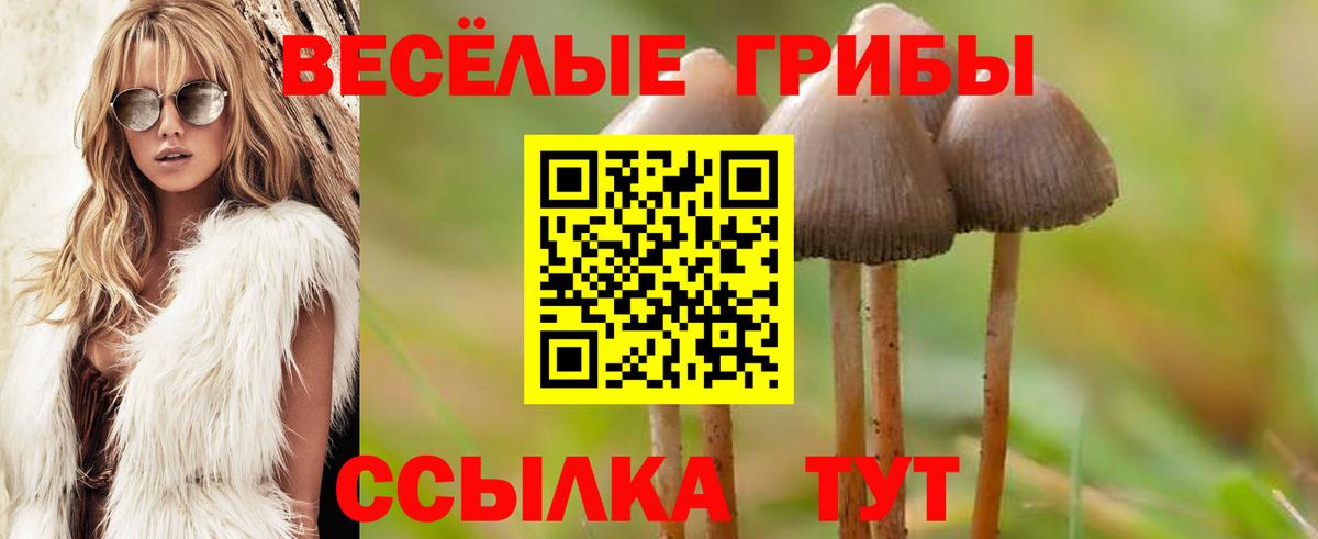 Псилоцибиновые грибы GOLDEN TEACHER Астрахань